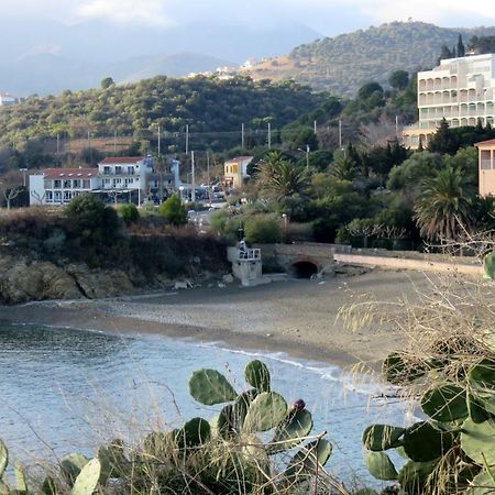 Les Pieds Dans L'Eau Apartment Banyuls-sur-Mer Exterior foto