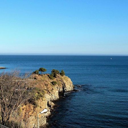 Les Pieds Dans L'Eau Apartment Banyuls-sur-Mer Exterior foto