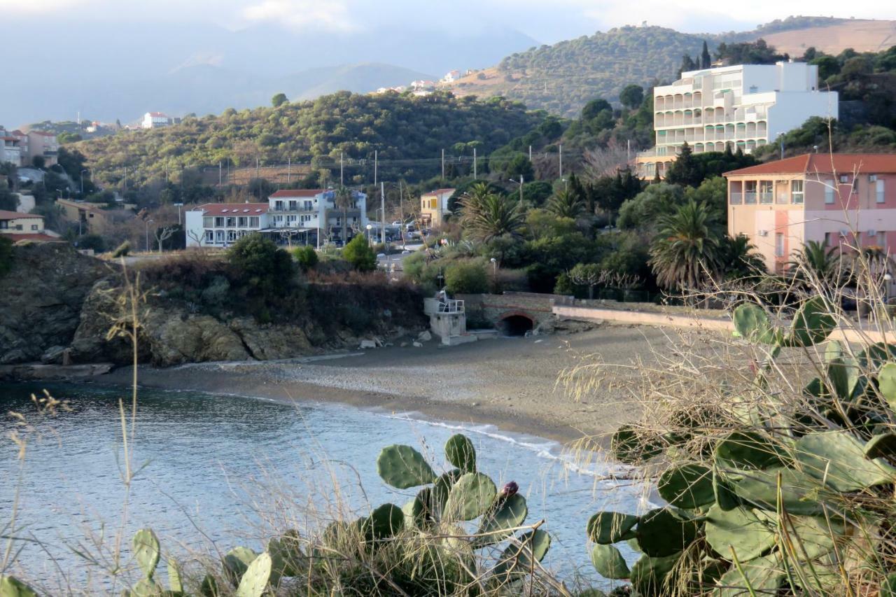 Les Pieds Dans L'Eau Apartment Banyuls-sur-Mer Exterior foto