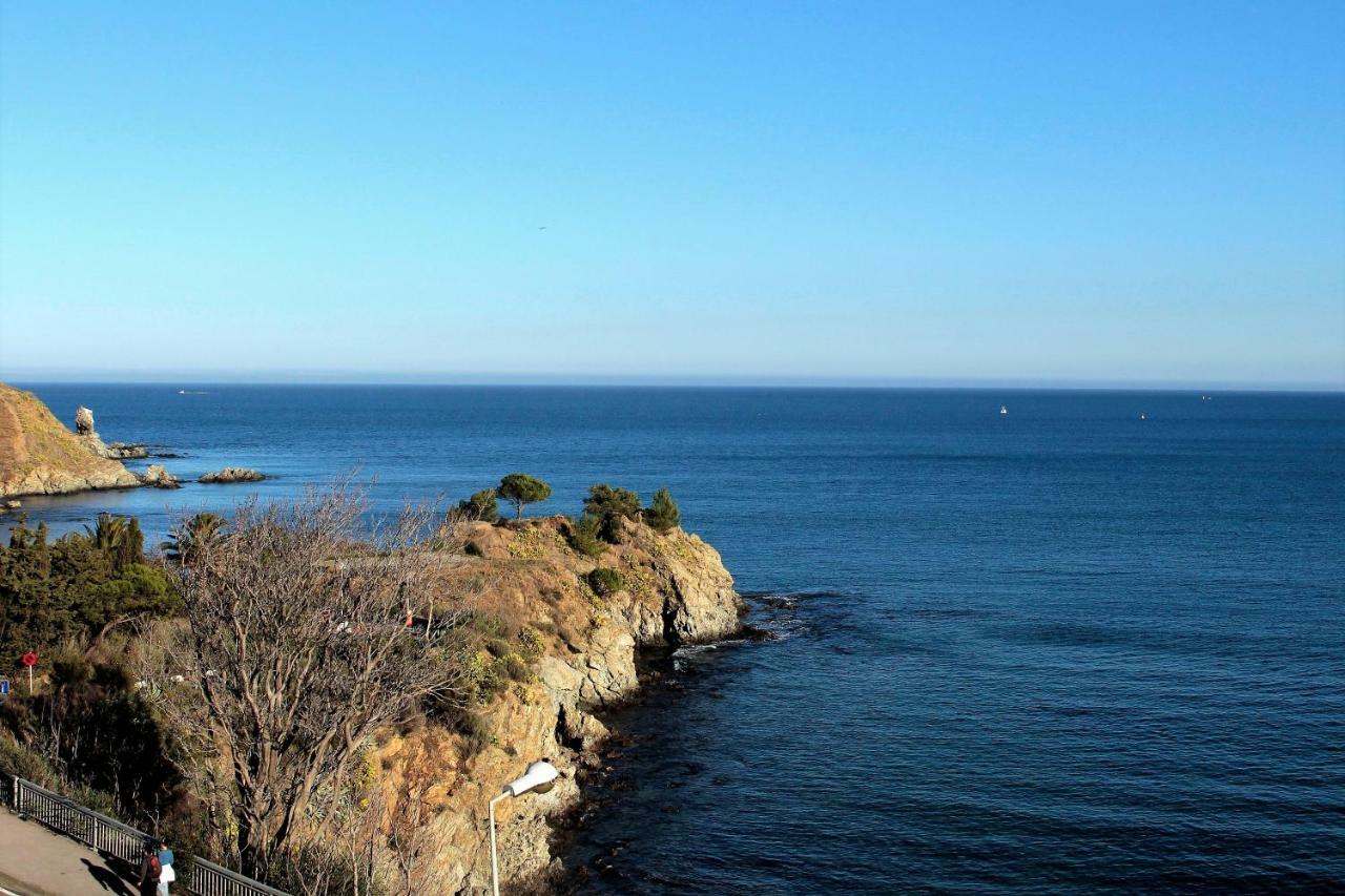 Les Pieds Dans L'Eau Apartment Banyuls-sur-Mer Exterior foto